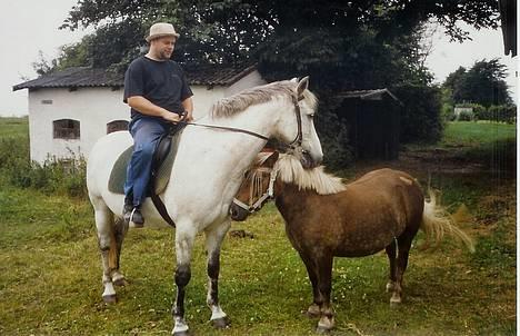 Anden særlig race Beauty Boy - Her rider min kæreste på Beauty! billede 3