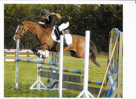 Anden særlig race Paloma Picasso - Mb... på Lille Pigen billede 1