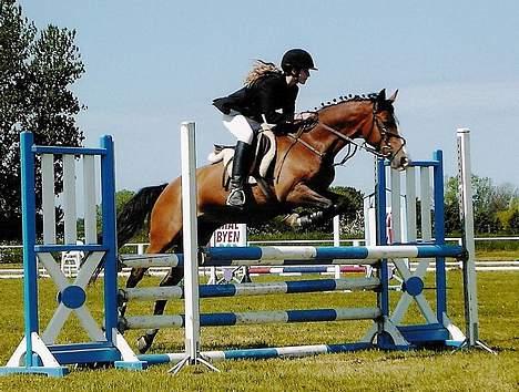 Anden særlig race Paloma Picasso - Paloma p. på SLR. LA billede 2