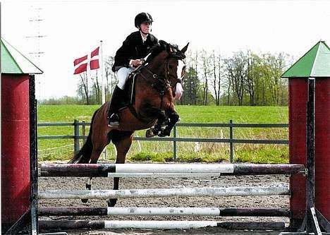 Anden særlig race Paloma Picasso - Paloma.. den bølle...! på det gamle RMR..(LB) gammelt billed billede 4