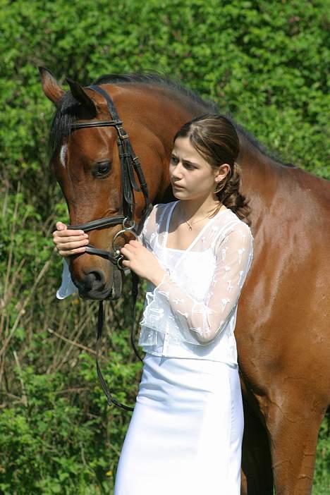 Hollandsk Sportspony Sjanoe - solgt - taget til min konfirmation maj 2004 billede 6
