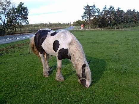 Tinker Linholms Blue mama billede 3