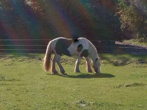 Tinker Linholms Blue mama billede 6