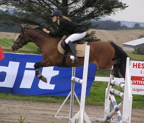 Anden særlig race Paloma Picasso - MA!! Sidste spring!! i Helsinge! billede 8