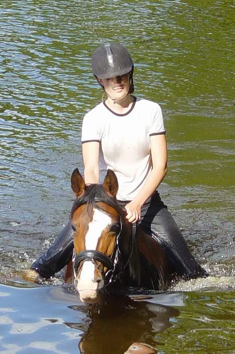 Anden særlig race Paloma Picasso - min springpony.. er ikke en vandpony!! og det var ikke nogen succes at bade! Jeg røg af hende fordi den ikke har talent for svømming! og hendes medfødte instinkter virkede åbenbart ikke! så min mobil blev våd og gik i stykker! billede 9