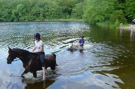Anden særlig race Paloma Picasso - Paloma og jeg!! Også li Hanne J i Baggrunden på TeQuiLa billede 10