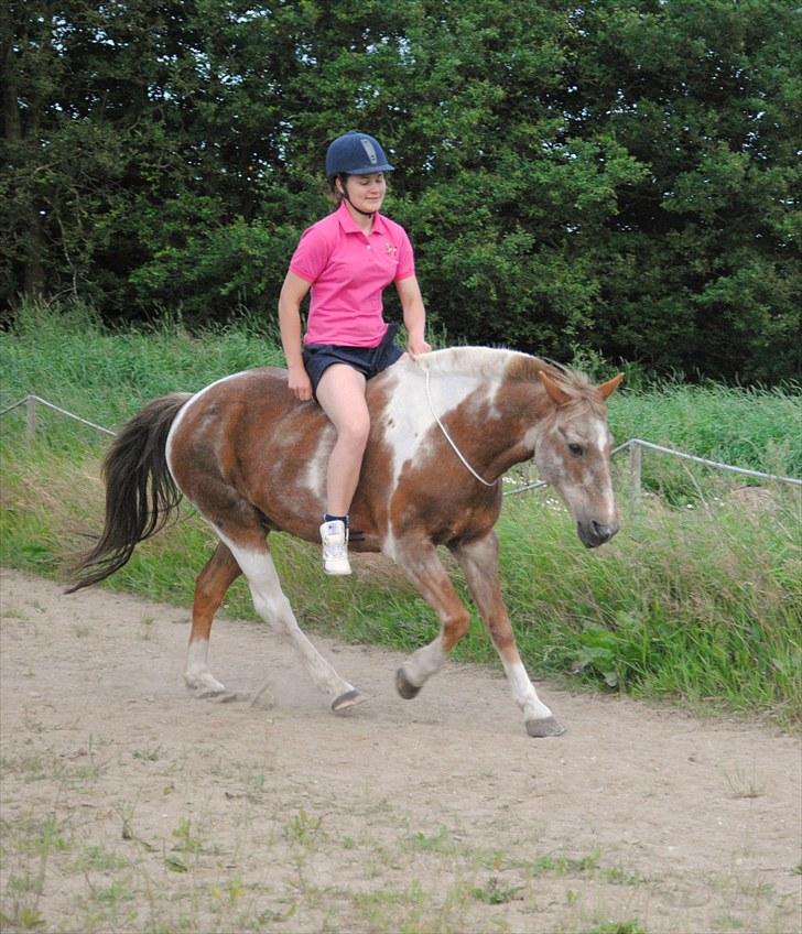 Anden særlig race - Warzakki :')  - 1 |  "Jeg elsker dig for den du er. Men mest for hvad jeg er, når jeg er sammen med dig". Marie er fotografen d. 07.07.10 billede 1