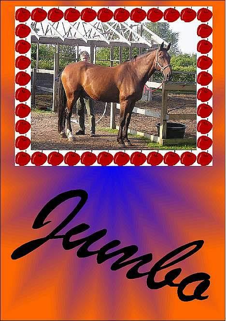 Oldenborg Jumbo billede 3