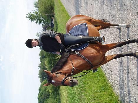 Oldenborg Sille billede 3