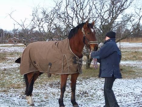 Oldenborg Sille billede 5