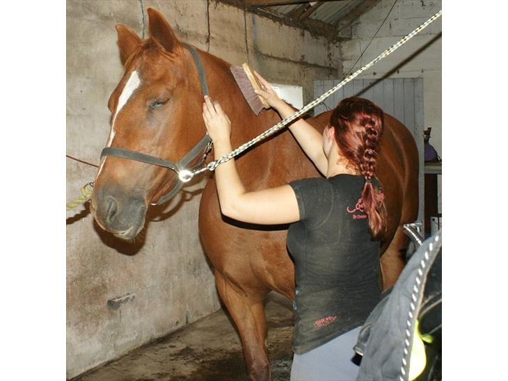 {{currentPhoto.altText}} billede {{currentPhoto.number}}