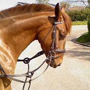 Quarter C Tammi Dee Doc