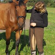 Anden særlig race Lady Liva - R.I.P