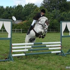 New Forest snowball solgt :/