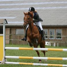 Anden særlig race La Rouge *Solgt*