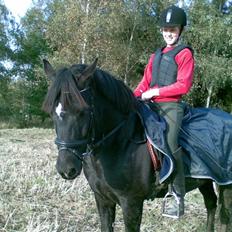 New Forest Olympic Concorde