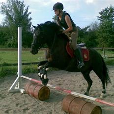 New Forest Olympic Concorde