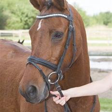 Anden særlig race starappeal