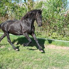 Frieser Jetske Fan Ferwâlde