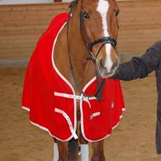 Anden særlig race Kano<333 R.I.P. :'( †