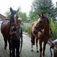 Traver Amour Linê - solgt :'(