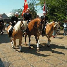 Anden særlig race  R.I.P. Flicka