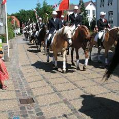 Anden særlig race  R.I.P. Flicka