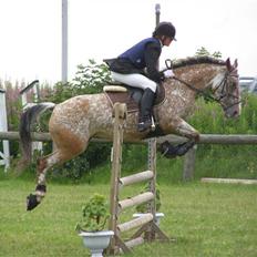 Anden særlig race Nørreleds Confetti