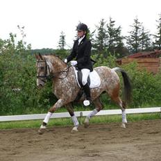 Anden særlig race Nørreleds Confetti