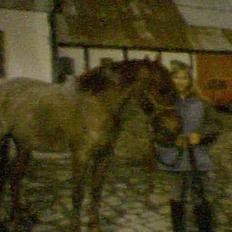 Hollandsk Sportspony Winnie solgt:( 