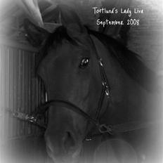 Anden særlig race Lady Liva - R.I.P