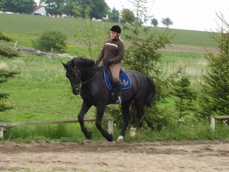 Oldenborg Lucius Bedsted solgt billede 15