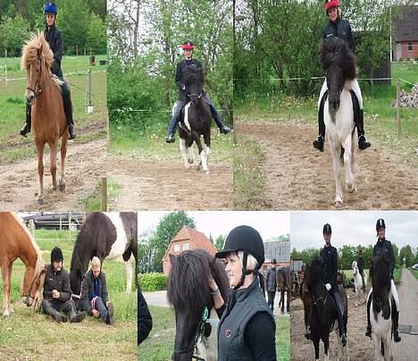 Islænder Höttur frá Midkoti -*SOLGT*- - Familien Davidsen til stævne den 13.05 07 (: billede 11