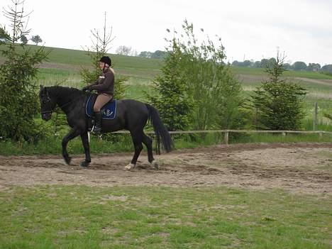 Oldenborg Lucius Bedsted solgt billede 18