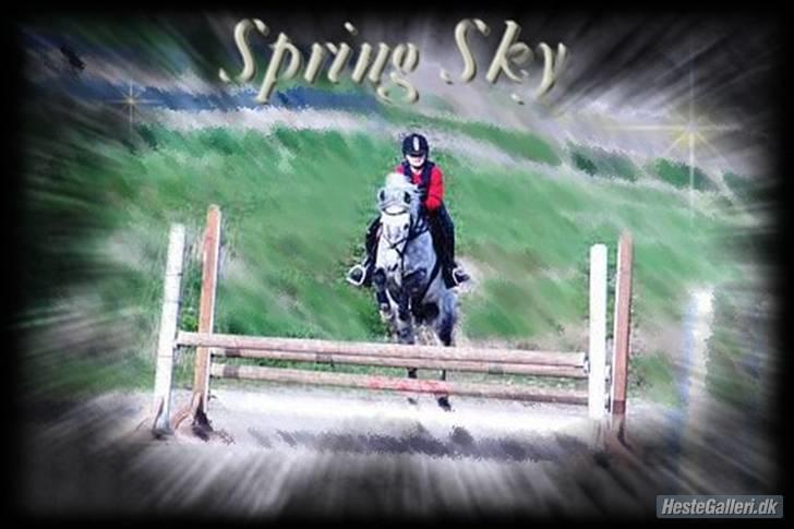 Anden særlig race Dyrkærgård Sping Sky - anden gang springtræning.. Foto taget af: Kristina O. Taak ! og også til Benita R der har Lavet billedet! billede 12