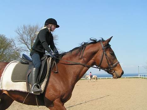 Fuldblod (XX) Why Me - R.I.P <3 billede 14