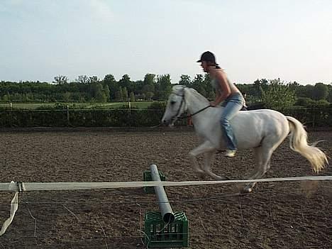 Anden særlig race Musse (Himmelhest) - Mig og Musse 2004 en af de første gange jeg sprang på hende efter hendes skade. billede 2