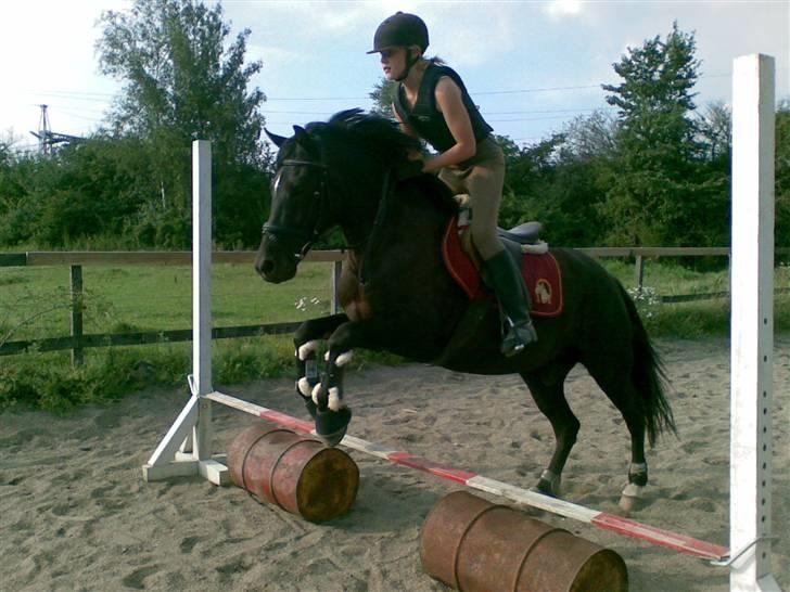 New Forest Olympic Concorde - vi flyver over springet... hehe på min lille flyvemaskine billede 3