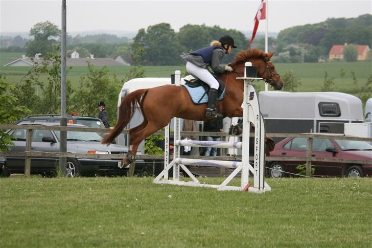 Anden særlig race La Rouge *Solgt* - Her er hun ved at få undertrøje på :b <3 billede 6