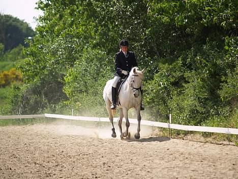 DSP | Melissa billede 20