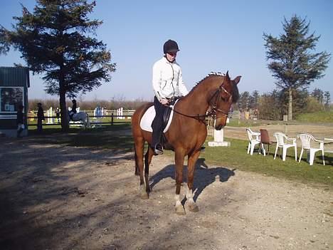 DSP | Leonardo billede 6