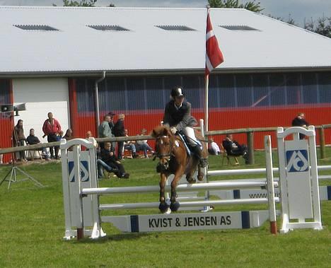 Anden særlig race Scottie - Flyvene Potten <´33 altså scottie Foto: sarah højholt billede 9