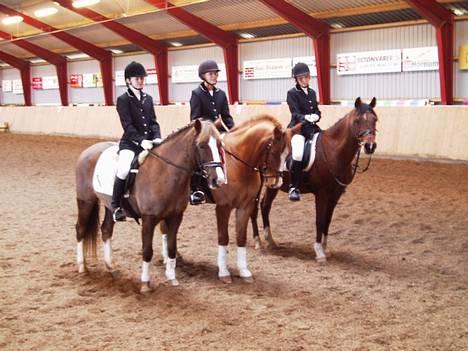 DSP | Leonardo - Leonardo bagerst billede 8