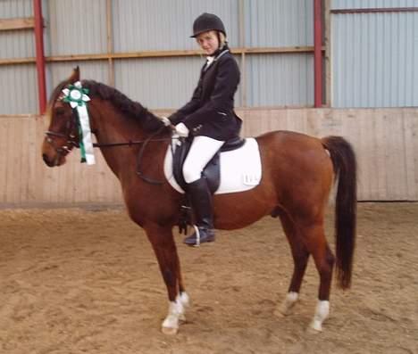 DSP | Leonardo billede 9