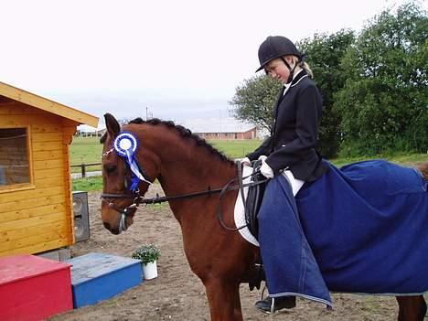 DSP | Leonardo billede 10