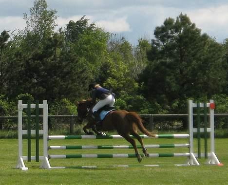 Anden særlig race Scottie - Super sjovt spring <´33 Foto: sarah højholt billede 11