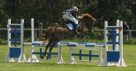 Anden særlig race Scottie - Min pige og jeg :D ihh vi er så dygtige :D Foto: sarah Højholt billede 12