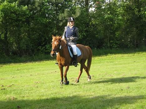 Anden særlig race Scottie - Scottie og jeg der skridter til.. Foto: sarah Højholt billede 13