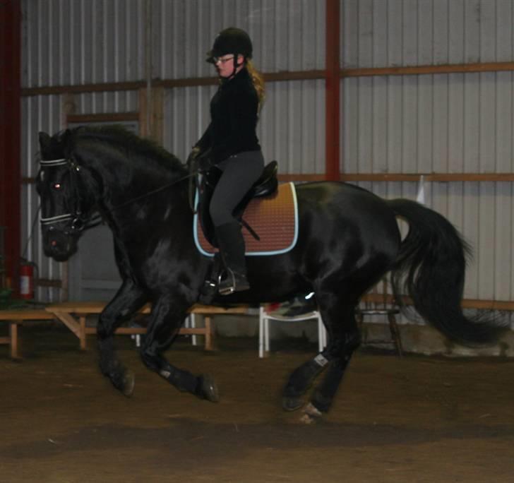 Oldenborg Rockie Pindborg - Lidt galop - det er hårdt ved de tykke!! billede 12