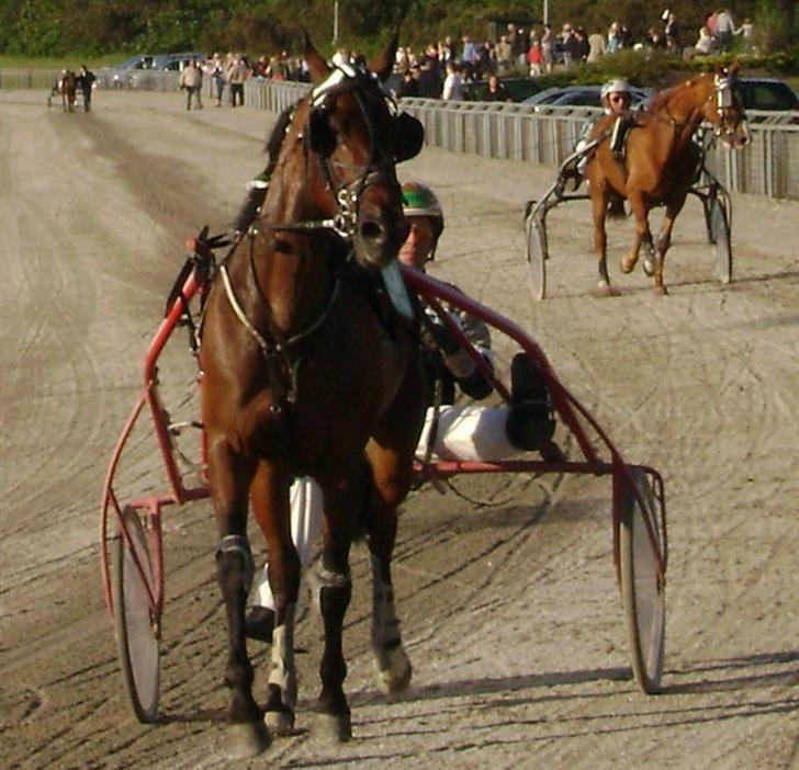 Traver J K Pavilloner - På banen billede 3